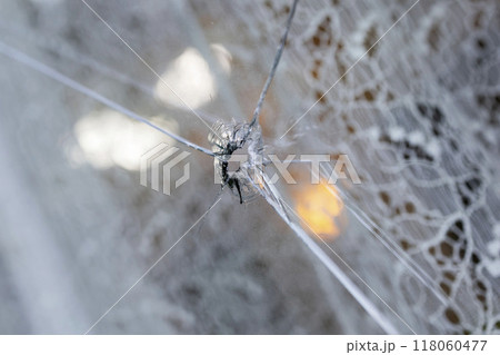 割れた窓ガラス 118060477