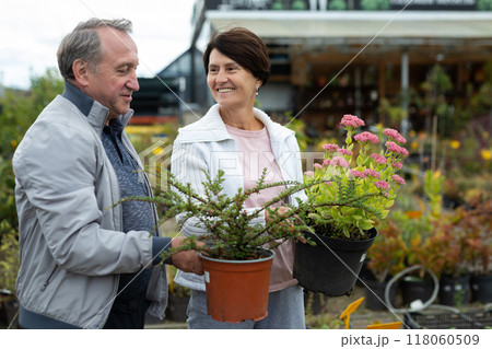 Focused elderly male and female consumers picking potted plants and bushes in outdoor garden market Focused elderly male and female consumers picking potted plants and bushes in outdoor garden market 118060509