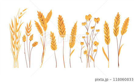 wheat vector style set  118060833
