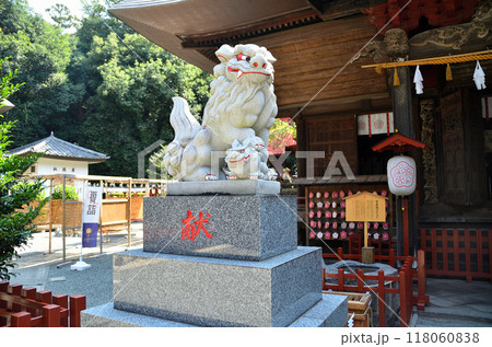 群馬県前橋市下大屋町の子育ての神様 朝日に輝く産泰神社 群馬県前橋市下大屋町の子育ての神様 朝日に輝く産泰神社 118060838