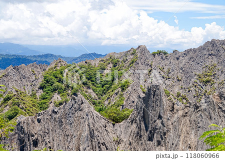 【台湾/台東県】利吉悪地の風景（富源大峡谷観景台からの眺め） 118060966
