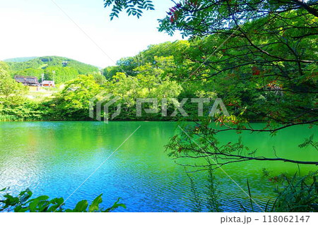 ドッコ沼　蔵王　新緑 118062147