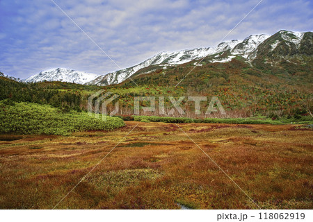 紅葉の栂池高原から望む風景 118062919