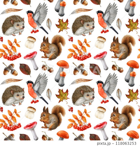 Vintage style seamless pattern with forest animals, natural elements. Watercolor hand drawn illustration. Autumn season hedgehog, squirrel, forest mushrooms fallen leaves pattern on white background 118063253
