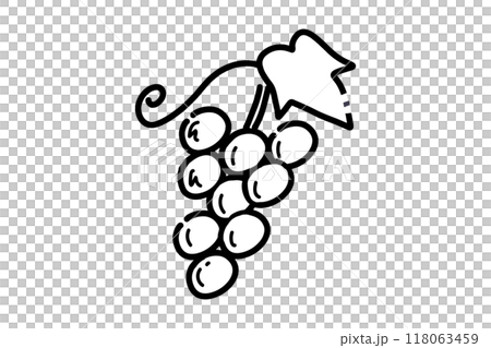 シンプルなブドウの線画イラスト 118063459