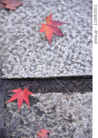 石畳と赤い紅葉① 石畳と赤い紅葉① 118063851