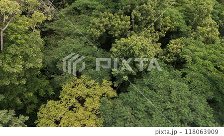 Aerial view the Tropical forest Healthy environment green tone  118063909