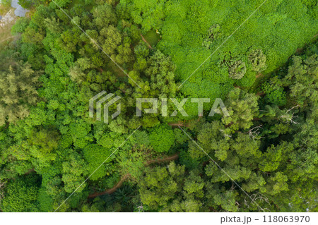 Aerial view Tropical Rainforest trees mountains,Top view green forest background Aerial view Tropical Rainforest trees mountains,Top view green forest background 118063970