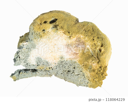 Bread with bacterium of mold . Macro photography 118064229