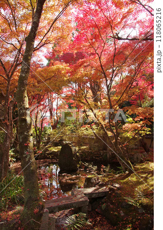 檀林寺の紅葉 118065216