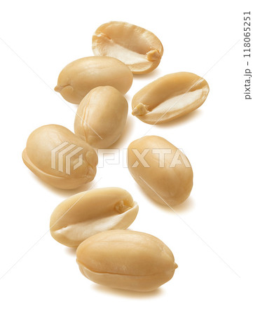Big peeled peanut group set isolated on white background. Vertical layout 118065251
