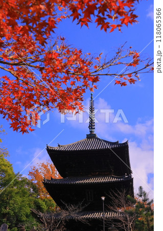 くろ谷 金戒光明寺（京都市左京区）三重塔前の紅葉 118065366