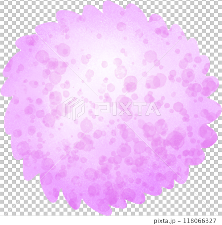 Pink Globe Amaranth 118066327
