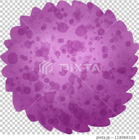 Purple Globe Amaranth 118066328