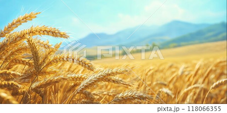 Wheat ears close-up on bright wheat field with space for your advertising text 118066355