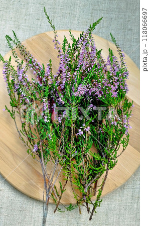 Purple Heather Sprigs on Wooden Board for Floral Decoration Purple Heather Sprigs on Wooden Board for Floral Decoration 118066697