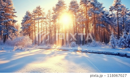 Snowy Forest with Tall Pine Trees at Golden Hour and Warm Sunlight Filtering Through Branches 118067027