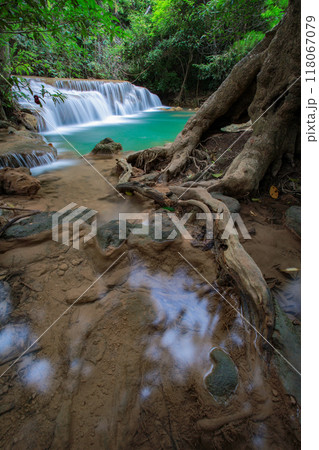 Deep forest Waterfall in Kanchanaburi, Thailand 118067079