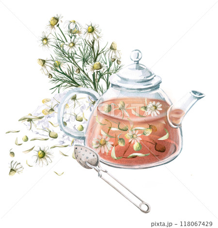 Composition of transparent teapot with chamomile tea, spoon for brewing and bouquet of chamomile. Isolated watercolor illustration for decoration of tea ceremonies, cafes, tea shops, tea collections 118067429