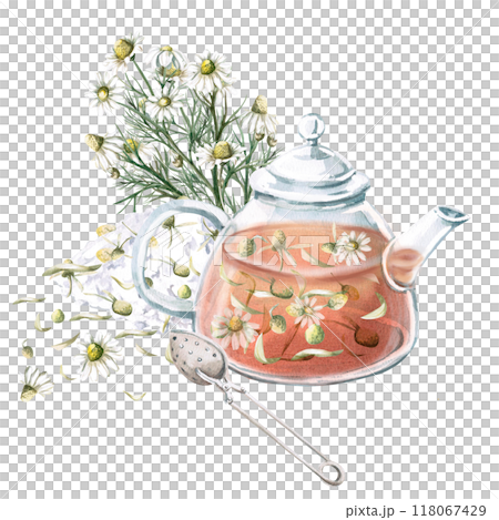 Composition of transparent teapot with chamomile tea, spoon for brewing and bouquet of chamomile. Isolated watercolor illustration for decoration of tea ceremonies, cafes, tea shops, tea collections 118067429