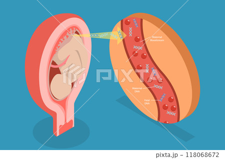3D Isometric Flat Vector Illustration of Noninvasive Parental Testing, Concept of NIPT 3D Isometric Flat Vector Illustration of Noninvasive Parental Testing, Concept of NIPT 118068672