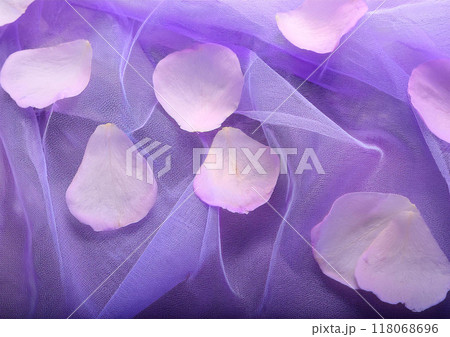 花びらと紫オーガンジーのイメージ背景 118068696