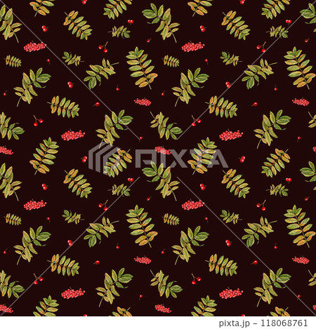 Rowan leaves and bunches of red juicy ripe berries watercolor seamless pattern on dark background. Falling autumn sorbus aucuparia leaves botanical illustration for seasonal textile, fall decor Rowan leaves and bunches of red juicy ripe berries watercolor seamless pattern on dark background. Falling autumn sorbus aucuparia leaves botanical illustration for seasonal textile, fall decor 118068761