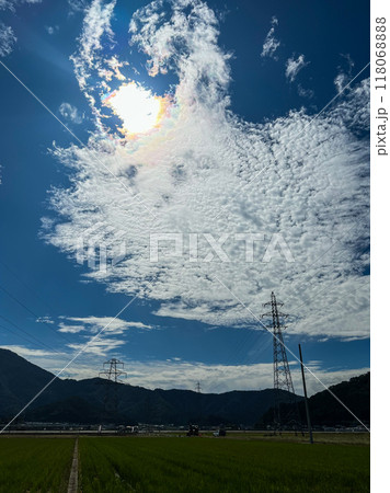 北陸 福井県 武生 田舎の夏空 田んぼ 北陸 福井県 武生 田舎の夏空 田んぼ 118068888