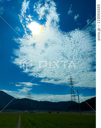 北陸 福井県 武生 田舎の夏空 田んぼ 北陸 福井県 武生 田舎の夏空 田んぼ 118068889