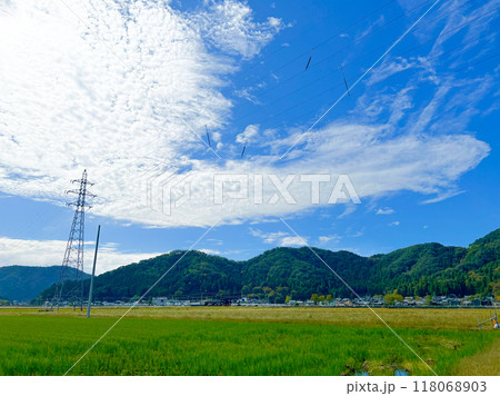 北陸 福井県 武生 夏空 田舎 田んぼ 北陸 福井県 武生 夏空 田舎 田んぼ 118068903