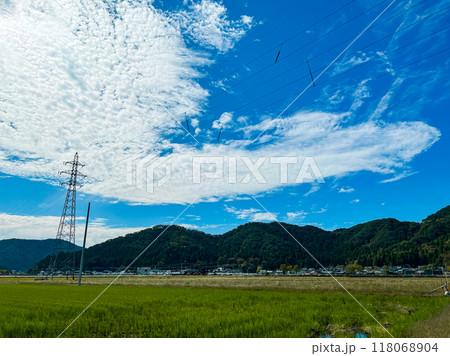北陸　福井県　武生　夏空　田舎　田んぼ 118068904