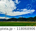 北陸　福井県　武生　夏空　田舎　田んぼ 118068906