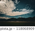 北陸　福井県　武生　夏空　田舎　田んぼ 118068909