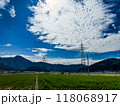 北陸　福井県　武生　田舎の夏休み　田んぼ 118068917