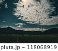 北陸　福井県　武生　田舎の夏休み　田んぼ 118068919