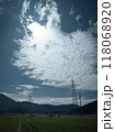 北陸　福井県　武生　田舎の夏休み　田んぼ 118068920
