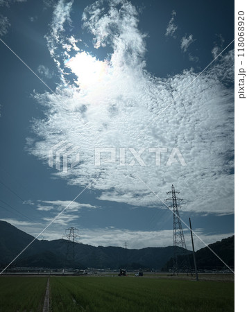 北陸 福井県 武生 田舎の夏休み 田んぼ 北陸 福井県 武生 田舎の夏休み 田んぼ 118068920