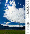 北陸　福井県　武生　田舎の夏休み　田んぼ 118068921