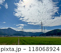 北陸　福井県　武生　田舎の夏休み　田んぼ 118068924