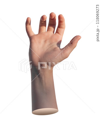 Catching, taking, hand gesture, sign isolated on white background 118069273