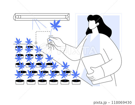 Take cannabis plants from a nursery isolated cartoon vector illustrations. Take cannabis plants from a nursery isolated cartoon vector illustrations. 118069430