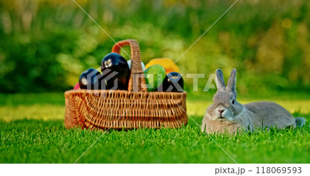 A rabbit sits on the grass near a basket of fresh seasonal vegetables. 118069593