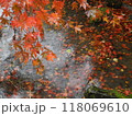 水に浮かぶ紅葉 118069610