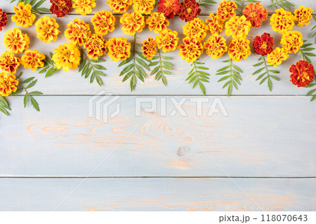 Creative layout made of flowers and leaves marigolds on a blue wooden table. Floral Greeting card. Colorful autumn flower background with space for text. Nature concept. Flat lay. 118070643