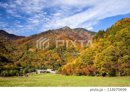 《スキー場の秋》平湯温泉スキー場周囲の鮮やかな紅葉 118070696