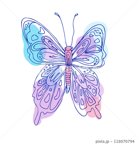 A beautiful, colorful butterfly illustration, capturing nature grace. Ideal for nature designs, wildlife illustrations, and spring-themed decor 118070794