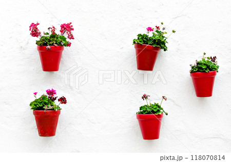 Typical Andalusian white facade, with hanging red pots. Andalusian village, Marbella	 118070814