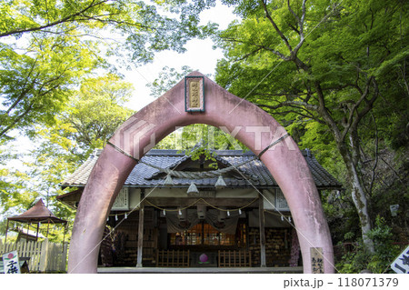 桃太郎神社 桃太郎神社 118071379