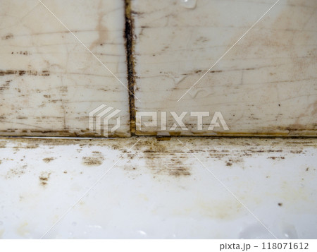 Mold in the bathroom. Black dots of mold and yellow plaque. Black mold Dirt on tiles. Requires cleaning. Mold in the bathroom. Black dots of mold and yellow plaque. Black mold Dirt on tiles. Requires cleaning. 118071612
