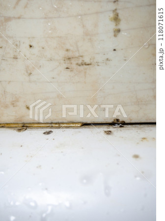 Mold in the bathroom. Black dots of mold and yellow plaque. Black mold Dirt on tiles. Requires cleaning. Before using cleaning products. Mold in the bathroom. Black dots of mold and yellow plaque. Black mold Dirt on tiles. Requires cleaning. Before using cleaning products. 118071615